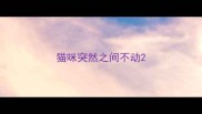 猫咪突然之间不动