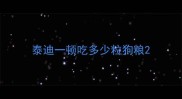 泰迪一顿吃多少粒狗粮