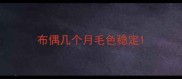 布偶几个月毛色稳定