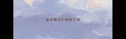 金毛修毛价格多少钱