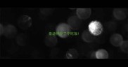 泰迪怀孕了不吃饭