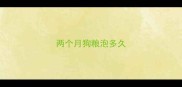 两个月狗粮泡多久