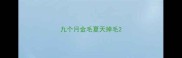 九个月金毛夏天掉毛