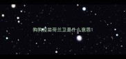 狗狗疫苗荷兰卫是什么意思