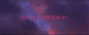 拉布拉多萨摩耶串串