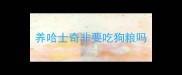 养哈士奇非要吃狗粮吗