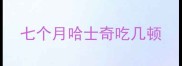 七个月哈士奇吃几顿