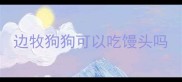 边牧狗狗可以吃馒头吗