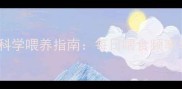 两个月大幼犬科学喂养指南每日喂食频率与营养配比全