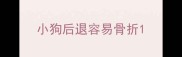 小狗后退容易骨折