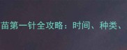 幼犬必看狗狗疫苗第一针全攻略时间种类注意事项及失效期