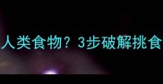 金毛不吃狗粮只吃人类食物3步破解挑食难题养狗人必看