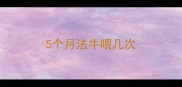 5个月法牛喂几次