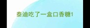 泰迪吃了一盒口香糖