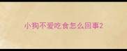 小狗不爱吃食怎么回事
