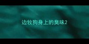 边牧狗身上的臭味