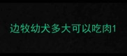 边牧幼犬多大可以吃肉