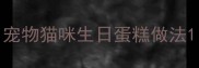 宠物猫咪生日蛋糕做法