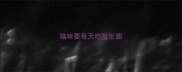 猫咪要每天吃益生菌