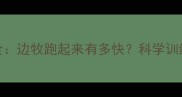 边境牧羊犬速度全边牧跑起来有多快科学训练与健康管理指南