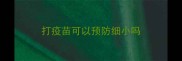 打疫苗可以预防细小吗