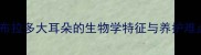拉布拉多大耳朵的生物学特征与养护难点