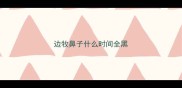 边牧鼻子什么时间全黑
