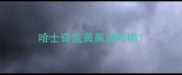 哈士奇流黄鼻涕咳嗽