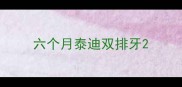 六个月泰迪双排牙