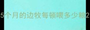 5个月的边牧每顿喂多少粮