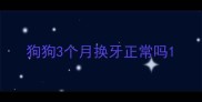 狗狗3个月换牙正常吗