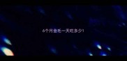 6个月金毛一天吃多少