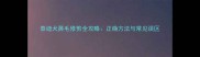 泰迪犬鼻毛修剪全攻略正确方法与常见误区