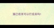 猫已绝育可以打疫苗吗