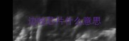 边牧芯片什么意思