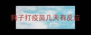 狗子打疫苗几天有反应