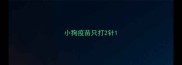 小狗疫苗只打2针