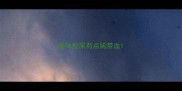 猫咪拉屎有点稀带血
