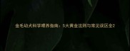 金毛幼犬科学喂养指南5大黄金法则与常见误区全
