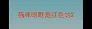 猫咪眼眶是红色的