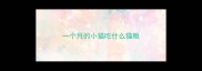 一个月的小猫吃什么猫粮