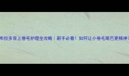 拉布拉多背上卷毛护理全攻略新手必看如何让小卷毛尾巴更精神