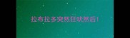 拉布拉多突然狂吠然后