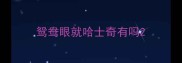 鸳鸯眼就哈士奇有吗