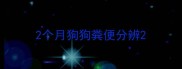 2个月狗狗粪便分辨