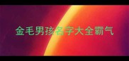 金毛男孩名字大全霸气