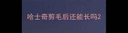 哈士奇剪毛后还能长吗
