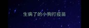 生病了的小狗打疫苗
