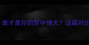 德牧VS哈士奇谁才是你的梦中情犬这篇对比攻略必须收藏