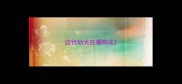 边牧幼犬在哪购买